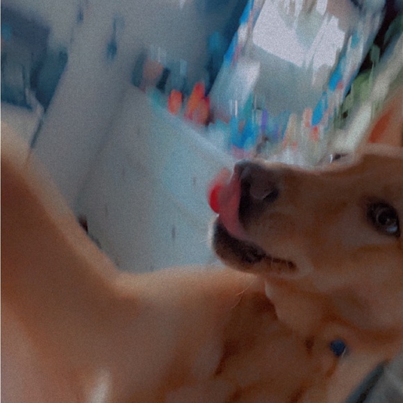 teamazul_1